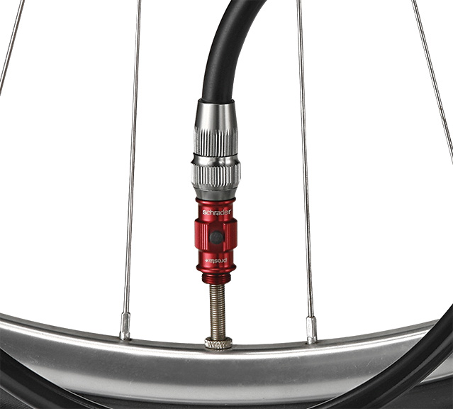 Chuck and bicycle wheel