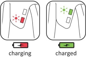 Red light charging, green light charged